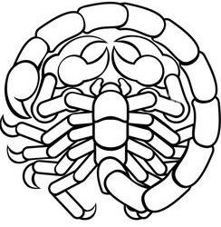 Boston Tarot - Tarot & Scorpio